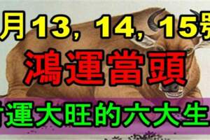 9月13，14，15號鴻運當頭，財運大旺的六大生肖