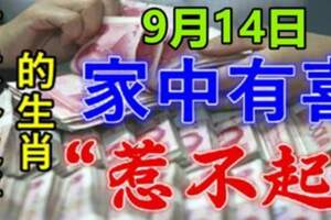 9月14日有意外之喜的生肖