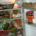 千萬別把裝菜的塑料袋放進冰箱！很多人都在這麼做，太危險了
