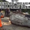 男子出海捕魚時在海面上發現「巨大枯木」，他花了3個月改造後驚為天人！
