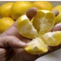把「檸檬十字體切開」再灑上一點鹽，放在廚房中…隔天你就會發現神奇的效果！