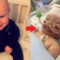 小男嬰才8個月就「慘被截肢雙手+左腳」，昏迷17天「醒來第一個動作」讓全球網友揪心爆淚！
