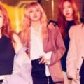 BLACKPINK成員想親近的男偶像？曾公開喜歡男偶像被YG老楊開玩笑