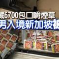 車藏6700包口嚼煙草大馬男入境新加坡被捕