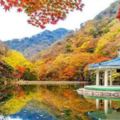 韓國絕不能錯過的賞楓美景，秋天來了就是要讓妳的IG版面塞滿艷麗楓紅色！