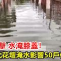 水淹膝蓋！大雨襲擊彰化花壇淹水影響50戶住戶