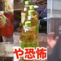 夭壽孫綠茶底部挖空放桌上！「一拿整瓶流光」連整七次阿嬤反應太絕…1200萬網友全笑翻