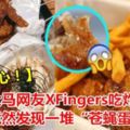 【超惡心！】大馬網友XFingers吃炸雞竟然發現一堆「蒼蠅蛋」~