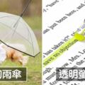 20種讓你「手刀加入購物清單」的創意商品　上班能從領帶偷喝飲料太棒