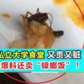 著名私立大學食堂又貴又髒學生爆料還賣「蟑螂飯」！