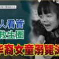 疑無人看管也沒救生圈4歲華裔女童溺斃泳池
