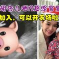 【三年抱兩】胡杏兒宣佈懷有第二胎：豬寶寶終於加入！