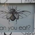 日本熊本出現《昆蟲自動販賣機》而且還是把昆蟲當零食吃的零食包...