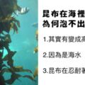 昆布在海裡這麼久為何不會泡出高湯？令人意想不到的答案讓網友笑歪了！