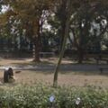 老翁公園「躺輪胎」摔傷頸 2次手術撿回一命 請求國賠卻遭拒