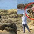 「大媽別坐在海豹上拍照好嗎？」女爬基隆八斗子「海豹岩」保育人士心痛：2隻剩下1隻了