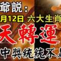 六大生肖彩票中獎統統不是夢，就在8月12日轉運了