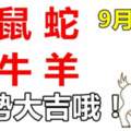 9月24日生肖運勢_龍、鼠、蛇大吉