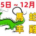 12生肖一周（12.5~12.11）