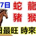 2月17日生肖運勢_蛇、龍、牛大吉