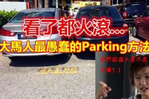 大馬人最愚蠢最SakaiParking的方法！看了都火滾....