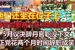 5月議決辭丹官職沒下文，公正黨花兩個月時間辭職成笑話！