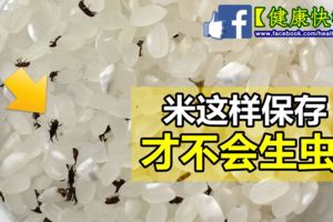 生活必知！原來「白米」要這樣「保存」才不會長蟲！這麼多年來我吃下多少危機！