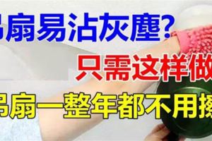 吊扇用這招清潔超乾淨！簡單這一招，持久保持乾淨閃亮！