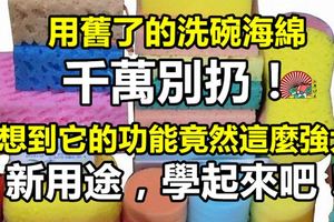 用舊了的洗碗海綿千萬別扔！沒想到它的功能竟然這麼強大！新用途，學起來吧！