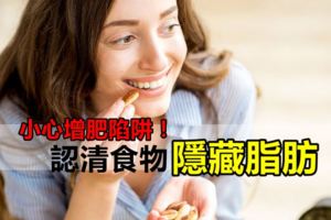 小心增肥陷阱！認清食物隱藏脂肪