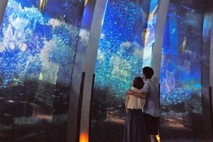 日本最大的水族館「終於確認會落腳台灣」，裡面的10萬動物讓你一次過看到飽！