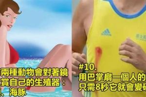 14個父母絕對不會想讓孩子們知道的「兒童不宜冷知識」！