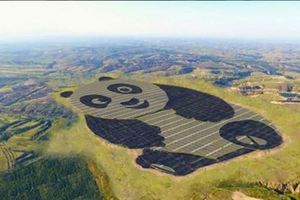 這就是「世界上第一座熊貓外型」的太陽能發電站，而且未來不止有一座而已喔！