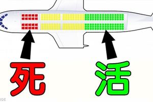 擊敗死神…7張交通工具「死亡座位VS安全座位」知識圖，記起來你比別人更有機會活命！