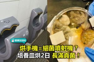 放烘手機吹3分鐘，培養皿2日長滿真菌「比別處還多」！