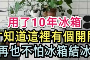 用了10年冰箱，才知道這裡有個開關，再也不怕冰箱結冰