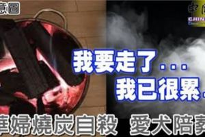 我要走了...我已很累...華婦燒炭自殺愛犬陪葬!Rip已審