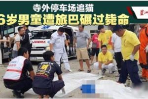 泰國寺外停車場追貓·6歲中國男童遭旅遊巴碾碎顱骨亡