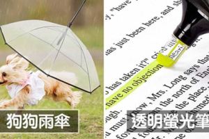 20種讓你「手刀加入購物清單」的創意商品　上班能從領帶偷喝飲料太棒