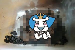 地方媽媽太強大...園遊會賣「獨家甜點」成品太逼真！網嚇壞大喊：這個我不行