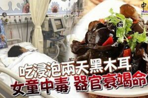 吃浸泡兩天黑木耳女童中毒器官衰竭命危
