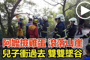 阿娘喂！阿嬤下車撿雞蛋滾落山崖，兒子衝過去雙雙墜谷！