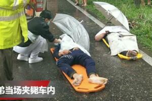 雨天路滑車撞美化樹姐弟當場夾斃4歲男童重傷