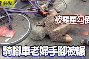 騎腳車老婦手腳被輾!羅釐直接往前駕駛,目擊者追到200尺外攔截羅釐司機