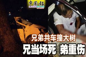兄弟共車撞大樹兄當場死弟重傷