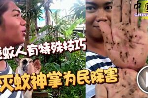 （有視頻看）驅蚊人有特殊技巧-滅蚊神掌為民除害