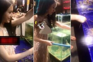 海產店正妹絕美臉蛋！「視線一往下」…卻讓全網崩潰臉蛋vs身材：一平毀所有