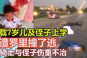 載7歲兒及侄子遭羅裡撞了逃　騎士與侄子傷重不治