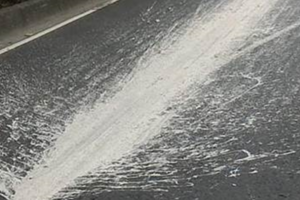 高雄多處剛鋪好柏油路被惡意潑灑油漆？ 網友憤怒喊報警 