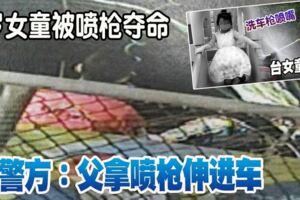 3歲女童被噴槍奪命Part2警方：父拿噴槍伸進車！